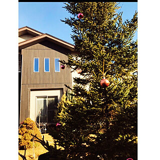 クリスマスツリー/シンボルツリー/Francfrancのピンク/イベント参加用/玄関/入り口のインテリア実例 - 2020-11-08 22:50:54