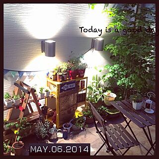 棚/多肉植物/ライト　/DIY/植物...などのインテリア実例 - 2014-05-06 20:44:00