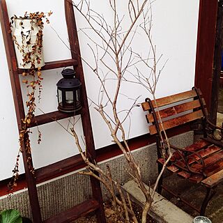 玄関/入り口/まだまだ冬です。/鉛筆削りオブジェの会/IKEA/植物のインテリア実例 - 2015-01-28 10:28:07