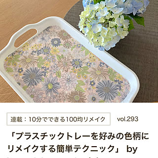 デコパージュ/プラスチックトレー/seria/100均リメイク/100均DIY...などのインテリア実例 - 2021-11-09 14:43:33