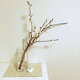 棚/白山陶器/花/花瓶/桜のインテリア実例 - 2016-02-14 00:27:00