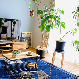 植物のある暮らし/観葉植物/IKEA/トローリーリビング/島忠...などのインテリア実例 - 2019-12-23 21:13:43