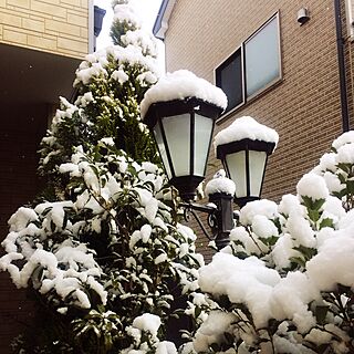 玄関/入り口/冬の風景/太陽光ランプのインテリア実例 - 2017-01-25 23:49:17