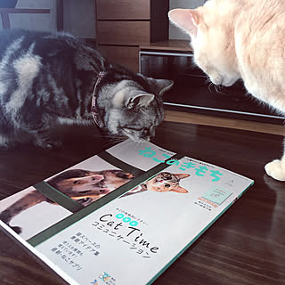 RCの出会いに感謝♡/雑誌掲載/雑誌取材/ねこのきもち5月号/コメントお気遣いなく♡...などのインテリア実例 - 2020-04-04 15:43:16