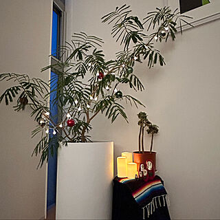 IKEA/ACTUS/観葉植物/クリスマス/照明...などのインテリア実例 - 2023-12-06 17:14:08