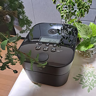 キッチン/買ってよかったもの/ZOJIRUSHI炊飯器/ZOJIRUSHI/STAN....などのインテリア実例 - 2022-12-06 08:50:07