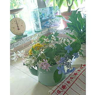 キッチン/花のある暮らし/花のある生活/花のある空間/庭の花...などのインテリア実例 - 2020-06-11 06:56:13