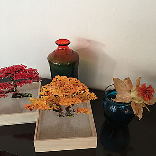 色が綺麗/カラーガラスの花瓶/組み立てミニ盆栽/オブジェ/綺麗な物...などのインテリア実例 - 2021-08-05 08:45:27
