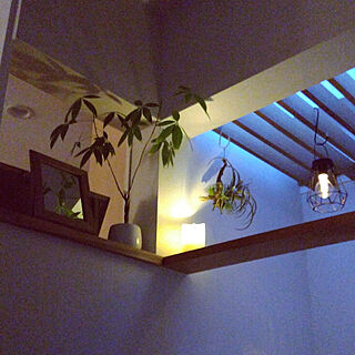 壁/天井/ニトリ/観葉植物/フェイクグリーン/照明のインテリア実例 - 2020-05-09 18:55:08