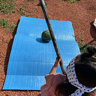 スイカ割りのインテリア実例 Roomclip ルームクリップ