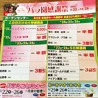 バラ園/SALE/千葉県民/いいね&フォローありがとうございます☆/植物...などのインテリア実例 - 2016-06-18 17:11:23