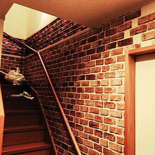 階段の壁/セリア/100均/壁/天井のインテリア実例 - 2016-03-28 22:26:34