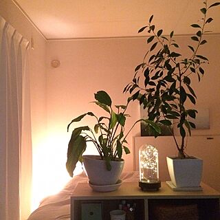 ベッド周り/一人暮らし/観葉植物/ナチュラル/照明...などのインテリア実例 - 2017-03-21 00:09:28
