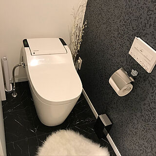 バス/トイレ/アラウーノ新型/１階トイレのインテリア実例 - 2018-01-08 07:25:40