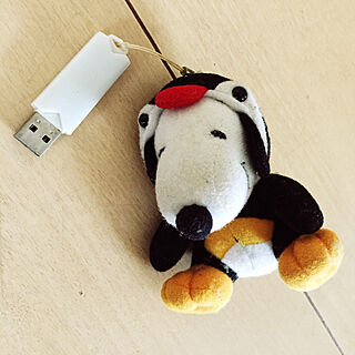 失くさない/ペンギン/スヌーピー/モノ集め/USBメモリーのインテリア実例 - 2018-01-07 13:47:20