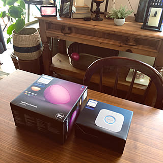 Alexa/アレクサ/Hue Bluetooth/Hue Go/Philips Hue...などのインテリア実例 - 2020-08-20 10:50:15