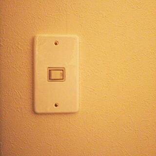 壁/天井/DIY/リメイク/スイッチプレートのインテリア実例 - 2016-11-02 17:50:37