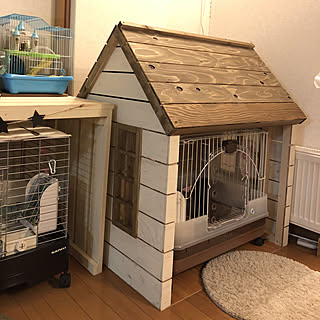 うさぎ小屋のインテリア実例 ｜ RoomClip（ルームクリップ）