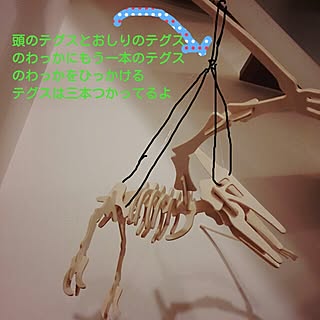 sukeさん☆/恐竜LOVE部のインテリア実例 - 2014-01-23 06:24:30