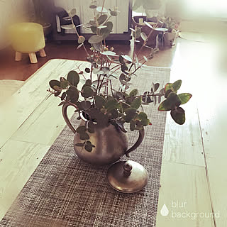 ユーカリポポラス/季節を楽しむ暮らし/植物と暮らす/皆さんのお陰で励みになってます♡/見てくれてありがとうございます♡...などのインテリア実例 - 2021-02-06 13:24:32