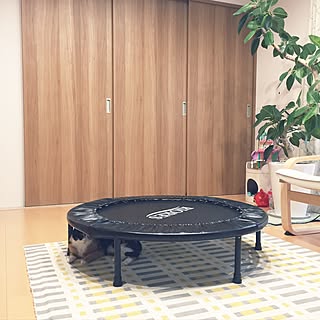 部屋全体/1分で酔った/取り敢えず跳んでみた/IKEAの椅子/アルテシマ...などのインテリア実例 - 2016-12-26 09:37:50