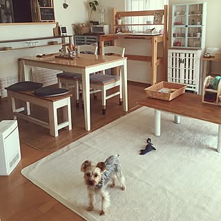 部屋全体/同じような写真ばかりで、ごめんなさい…/おうちカフェ/収納/フェイクグリーン...などのインテリア実例 - 2017-04-02 12:16:52