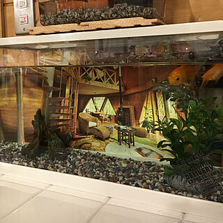 部屋全体/BESSの家/カレンダー/金魚水槽のインテリア実例 - 2018-12-30 00:32:58