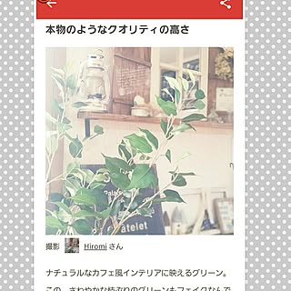 中古住宅リフォームなし/リメイク/ニトリ/窓枠 DIY/いいね&フォローありがとうございます☆...などのインテリア実例 - 2016-11-07 12:45:52