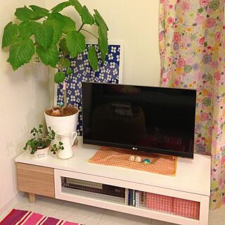 観葉植物/植物のある部屋/北欧/ファブリックパネル/植物...などのインテリア実例 - 2013-04-04 19:05:00