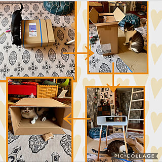 サイドテーブル/カグが届いた/20%ポイントバックキャンペーン商品/ねこのいる風景/猫のいる暮らし...などのインテリア実例 - 2022-05-07 13:01:34