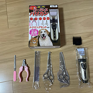 夏のスペシャルクーポン/RoomClipショッピング/ペット/ペット用品/ペットと暮らす家...などのインテリア実例 - 2021-08-28 19:33:36