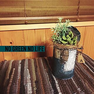 NO GREEN NO LIFE/結束線/リメ缶/塗り塗り/いなざうるす屋さん...などのインテリア実例 - 2014-11-20 20:47:33