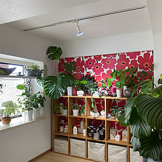 植物育成ライト/観葉植物のある暮らし/観葉植物/無印良品/マリメッコ...などのインテリア実例 - 2022-09-15 09:42:43