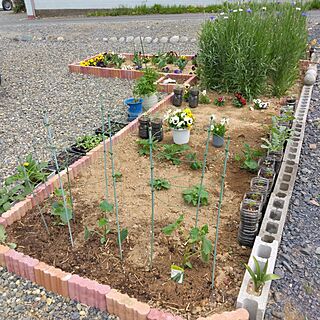 注文住宅/こどもと暮らす/小さな平屋/趣味を楽しむ/花壇...などのインテリア実例 - 2024-04-29 23:05:56