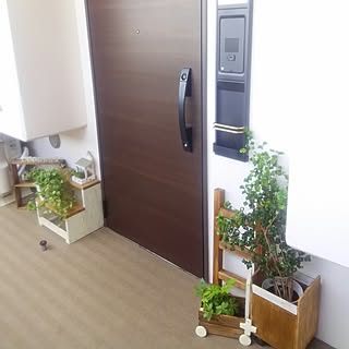ダイソー 玄関外のおしゃれなインテリアコーディネート レイアウトの実例 Roomclip ルームクリップ