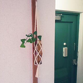 玄関/入り口/salut!/姉が作りました。/植物/団地...などのインテリア実例 - 2014-11-28 09:02:23