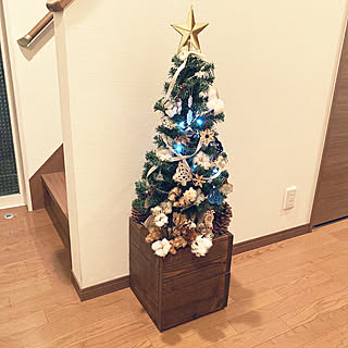 プランターカバー/クリスマスツリー出しました/クリスマスツリー/コットンフラワー/コットンフラワードライ...などのインテリア実例 - 2022-11-04 14:31:34