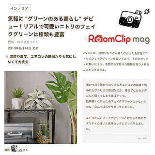 フェイクグリーン/ニトリのフェイクグリーン/ニトリ/RoomClip mag/ありがとうございますのインテリア実例 - 2019-06-14 17:52:28