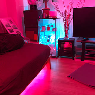 ベッド周り/Philips Hue/ドライフラワー/観葉植物/baccaratのインテリア実例 - 2021-01-07 21:28:02