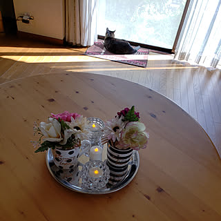 猫/ねこと暮らす/ねこのいる風景/ダイソー/テーブルの上のインテリア実例 - 2019-05-08 15:56:02