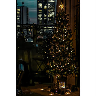 夜景/クリスマス/クリスマスツリー/ツリーの足元のインテリア実例 - 2020-12-26 15:07:15