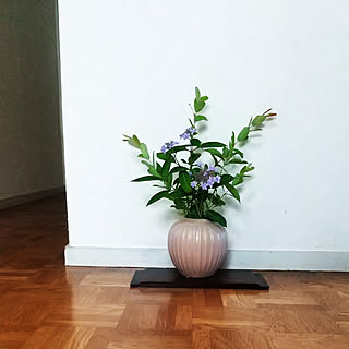 花瓶 ネコヤナギのおしゃれなアレンジ 飾り方のインテリア実例 Roomclip ルームクリップ