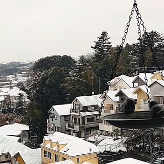 部屋全体/カメラマーク消し/いつもいいねやコメありがとうございます♡/雪景色*＊*のインテリア実例 - 2024-03-08 08:31:03