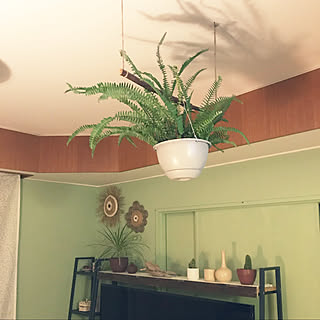 シダ植物/ハンギンググリーン/一軒家/boho styleに憧れる/ハンドメイド雑貨...などのインテリア実例 - 2020-09-12 02:12:01