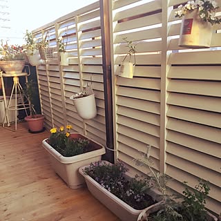 ベランダガーデン ルーバーラティスのおしゃれなアレンジ 飾り方のインテリア実例 Roomclip ルームクリップ