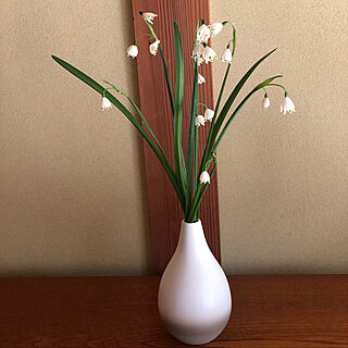 庭のお花/生花を飾る/玄関/入り口のインテリア実例 - 2022-04-12 17:04:41