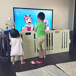 テレビ周り 赤ちゃんのいる部屋のインテリア実例 Roomclip ルームクリップ