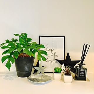 玄関/入り口/キーボックス/バーンスター/観葉植物のある暮らし/モンステラ...などのインテリア実例 - 2017-06-03 11:10:20