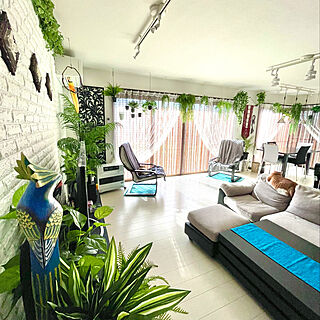 南国 トロピカルのおしゃれなインテリア・部屋・家具の実例