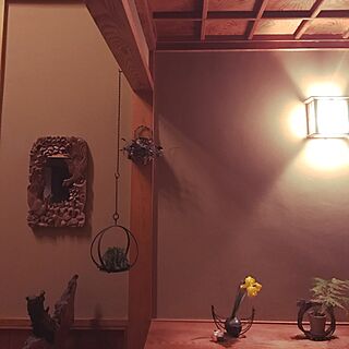 観葉植物/日本家屋/壁/天井/玄関/靴箱のインテリア実例 - 2017-03-30 21:17:34